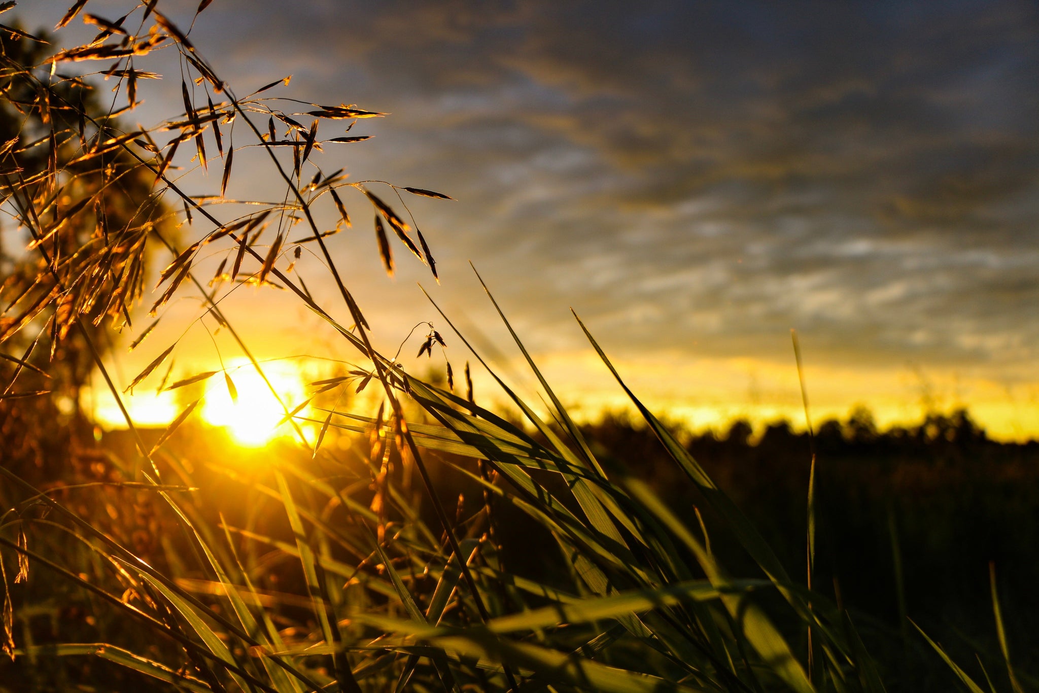 ☀️ Die Sommerferien sind vorbei – wir sind wieder für euch da! 🧵