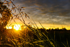 ☀️ Die Sommerferien sind vorbei – wir sind wieder für euch da! 🧵